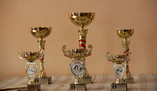 Stolnotenisový turnaj o pohár starostu obce 2013 
