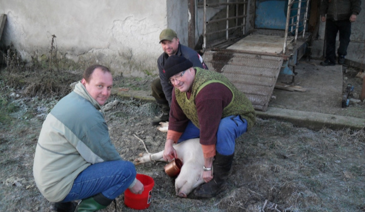 Obecná zabíjačka 2012