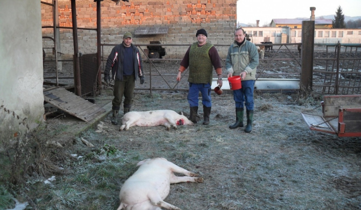 Obecná zabíjačka 2012