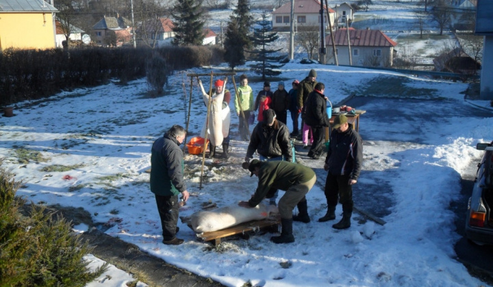 Obecná zabíjačka 2012