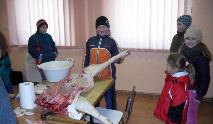 Obecná zabíjačka 2012