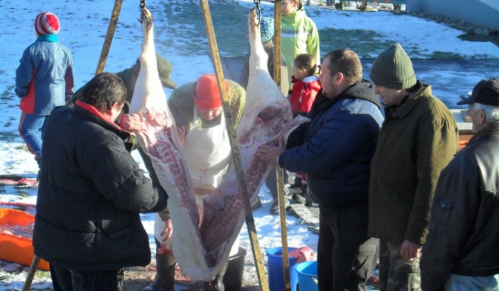 Obecná zabíjačka 2012