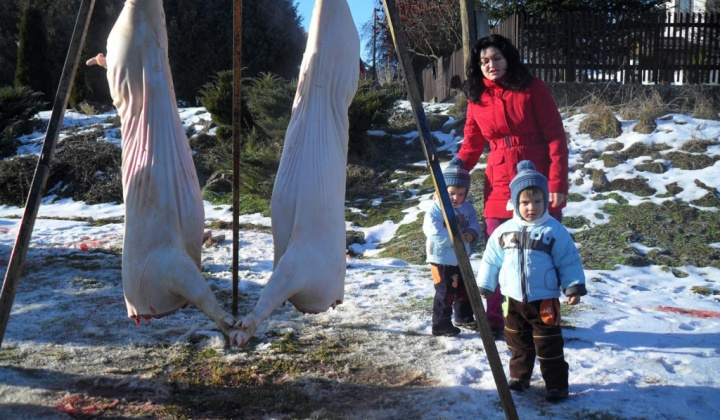 Obecná zabíjačka 2012