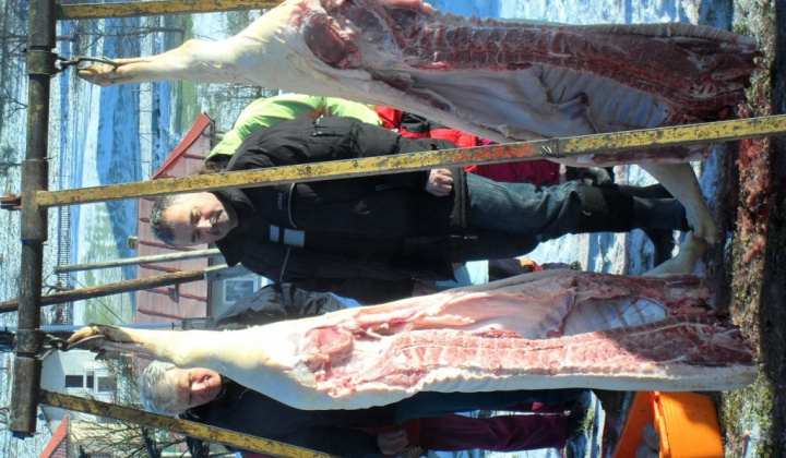 Obecná zabíjačka 2012