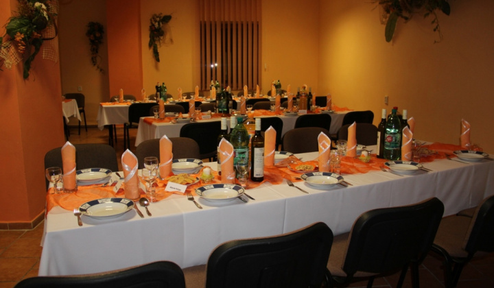 10. jubilejný obecný ples 2013