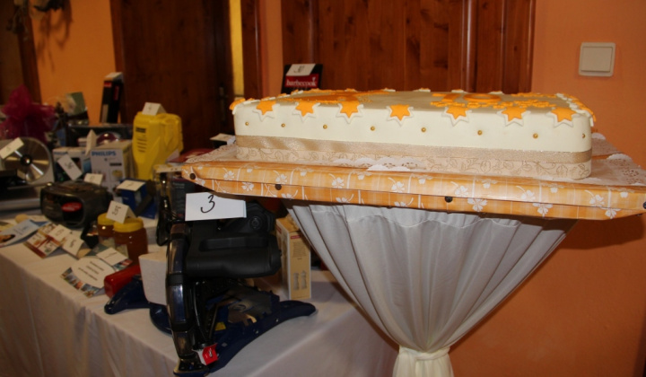 10. jubilejný obecný ples 2013