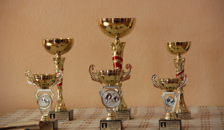 Stolnotenisový turnaj o pohár starostu obce 2013